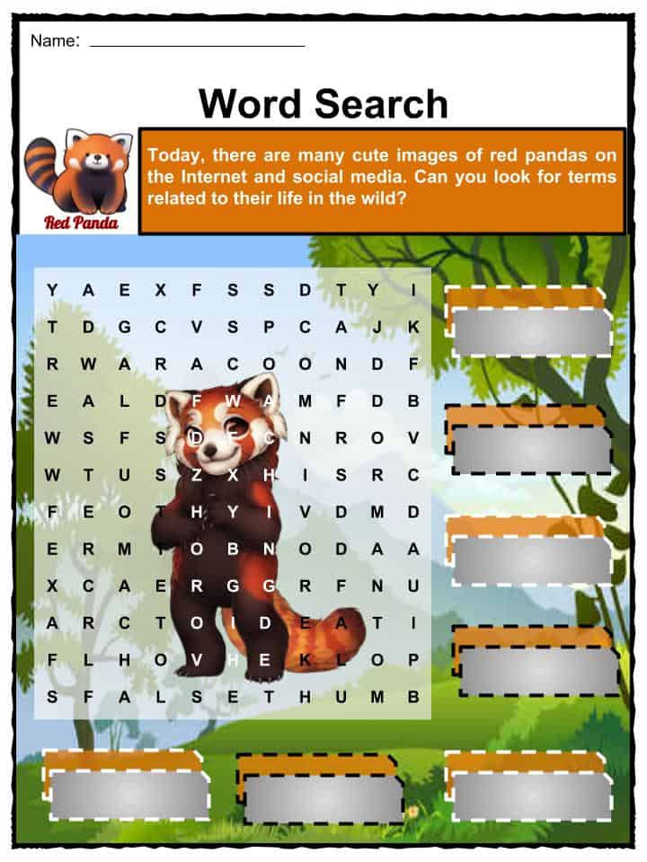Red Panda Facts, Worksheets, Habitat, Anatomy and Life Cycle For Kids
