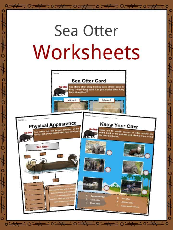 Sea Otter Worksheets