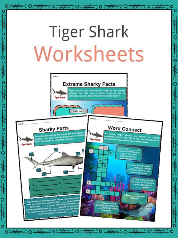 Tiger Shark Worksheets