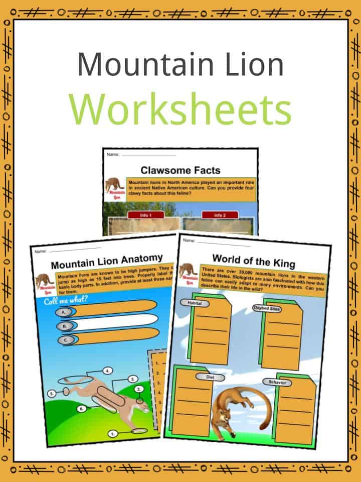 Mountain Lion Worksheets