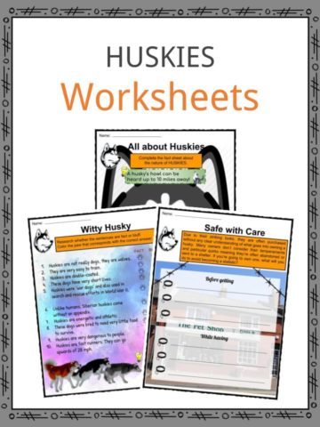 Huskies Worksheets