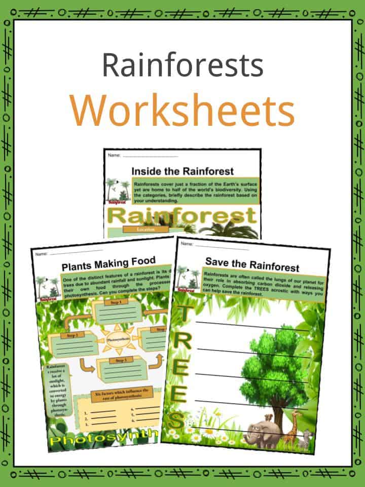 Rainforests Worksheets