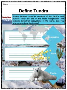 Tundra Biome Worksheets & Facts for Kids | Description & Ecology