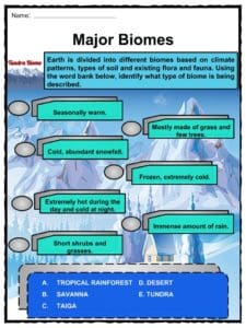 Tundra Biome Facts, Worksheets, Etymology & Geography For Kids