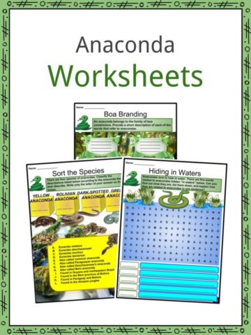 Anaconda Worksheets
