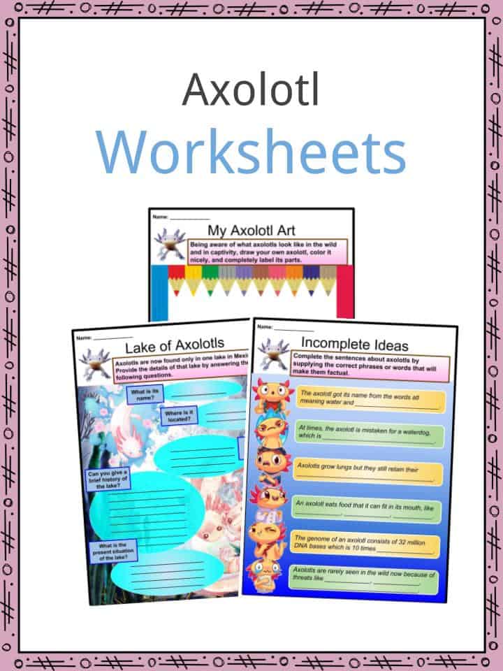 Axolotl Worksheets