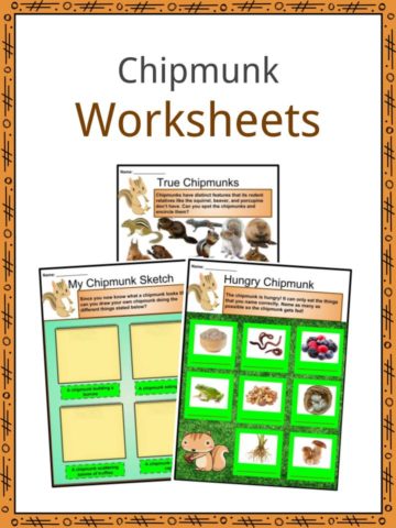 Chipmunk Worksheets