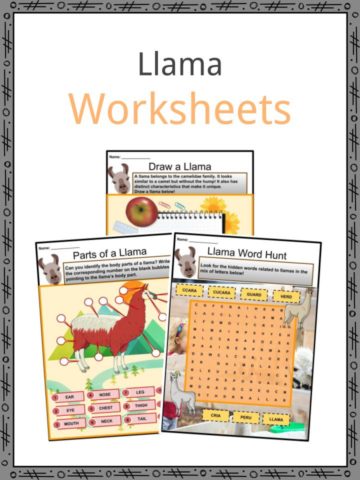 Llama Worksheets