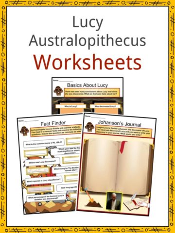 Lucy Australopithecus Worksheets