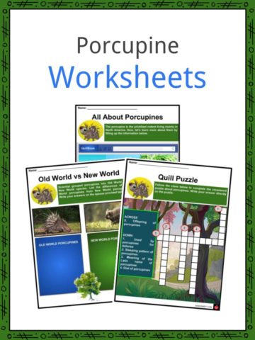 Porcupine Worksheets