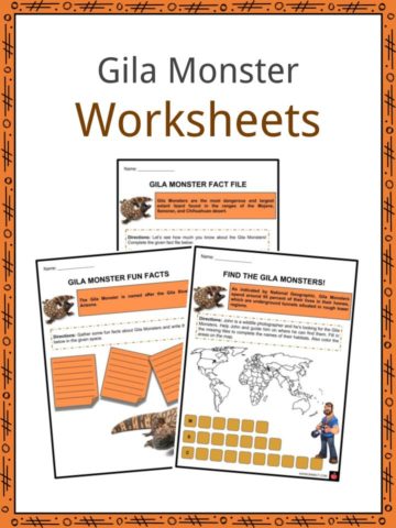 Gila Monster Worksheets