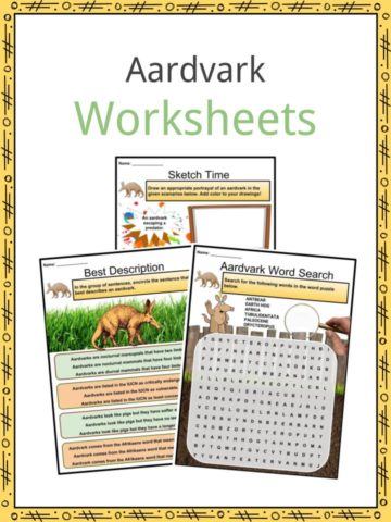 Aardvark Worksheets