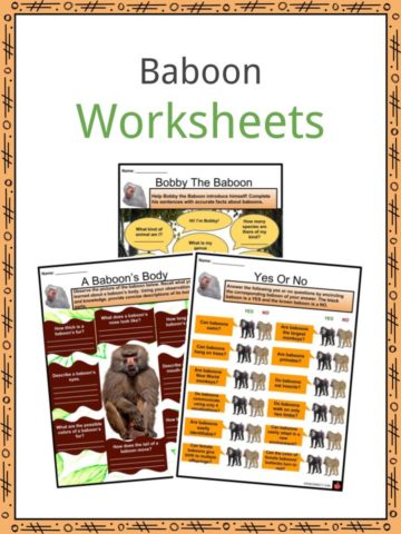 Baboon Worksheets