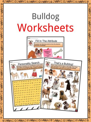 Bulldog Worksheets