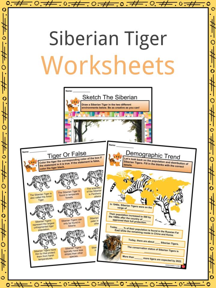 Siberian Tiger Worksheets