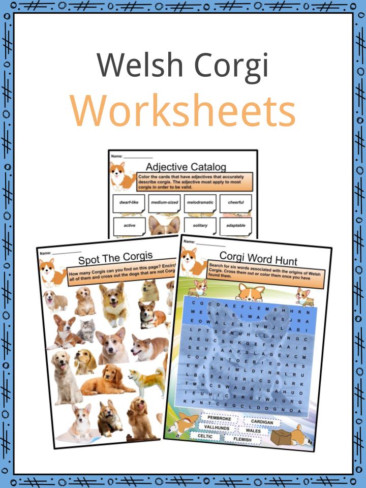 Welsh Corgi Facts, Worksheets, Behavior & Appearance For Kids