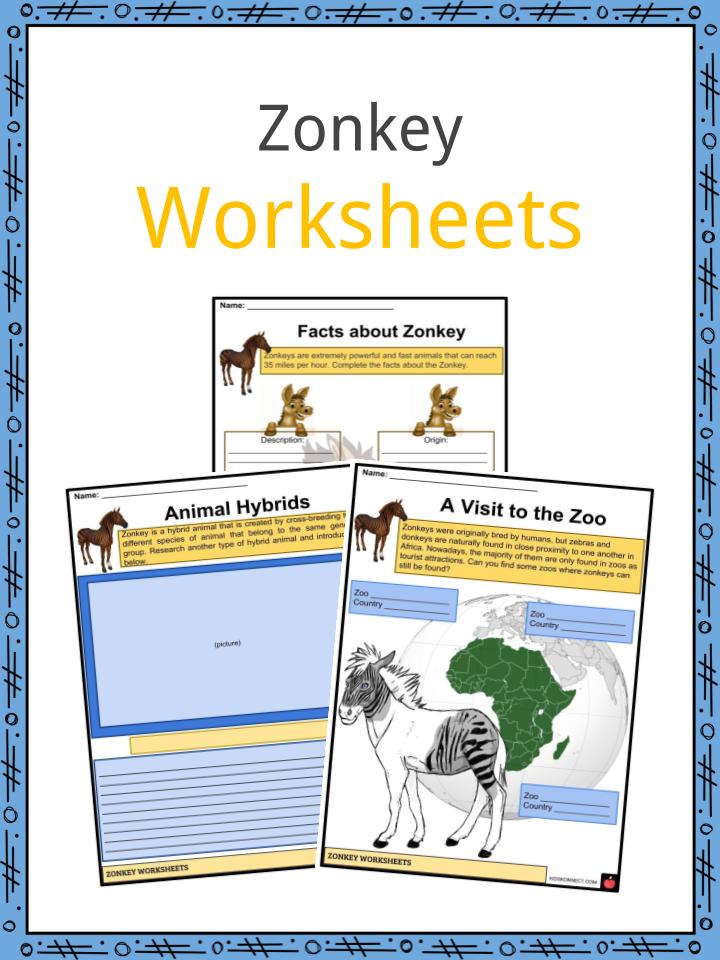 Zonkey Facts, Worksheets, Evolution, Anatomy & Appearance For Kids