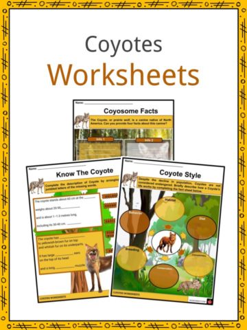 Coyotes Worksheets