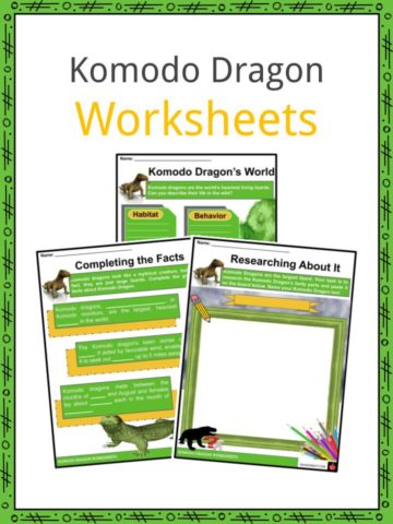 Komodo Dragon Worksheets
