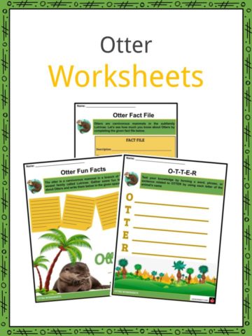 Otter Worksheets
