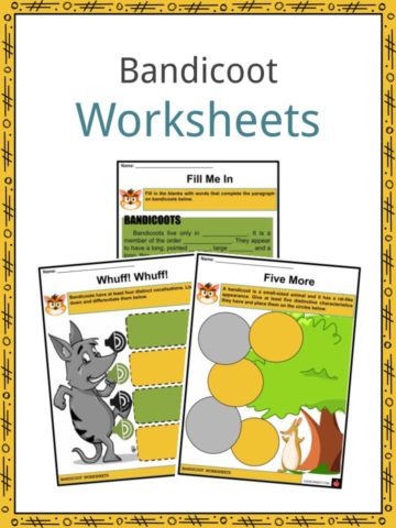 Bandicoot Worksheets