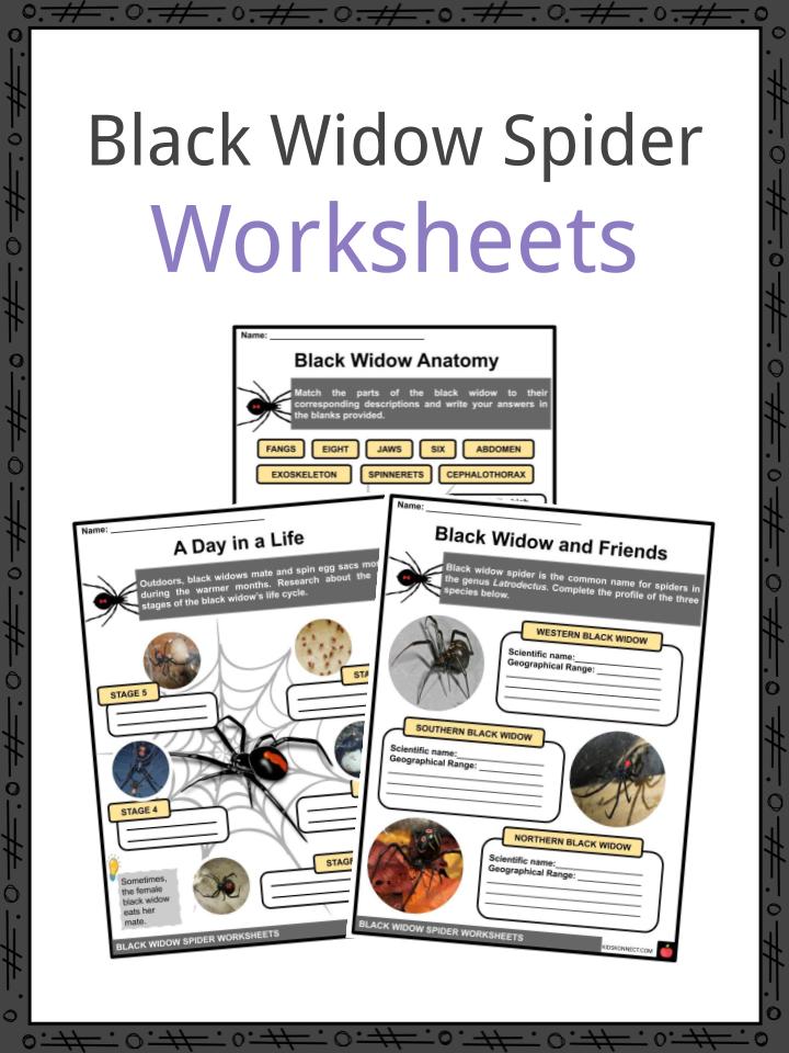Black Widow Worksheets
