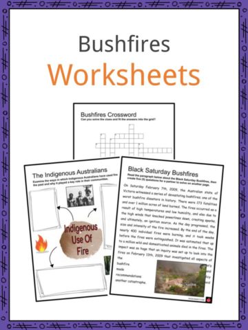 Bushfires Worksheets