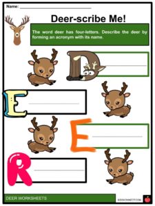 Deer Facts, Worksheets, Habitat & Behavior For Kids