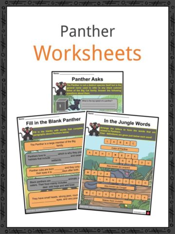 Panther Worksheets