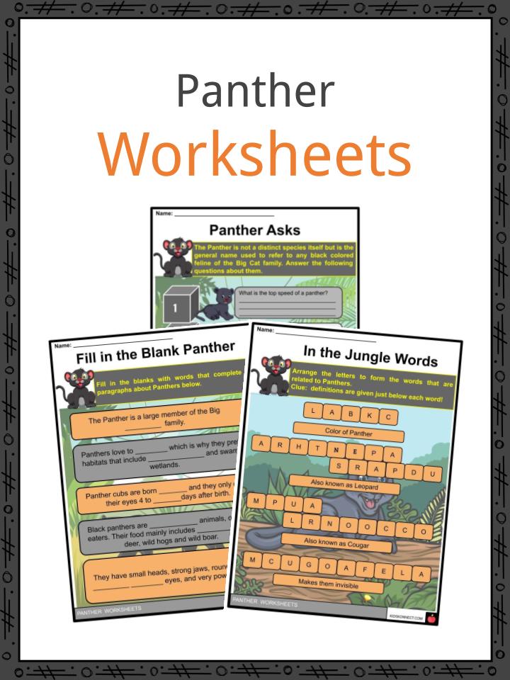 panther-facts-worksheets-anatomy-appearance-for-kids