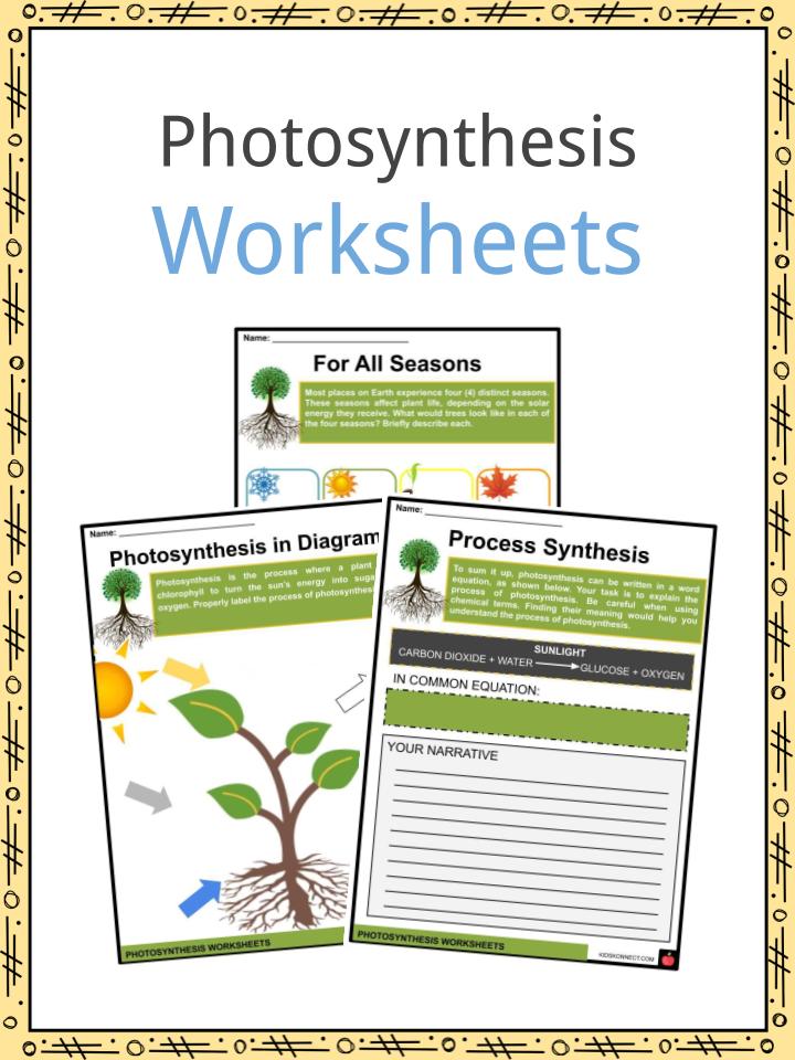 Photosynthesis Facts, Information & Worksheets For Kids