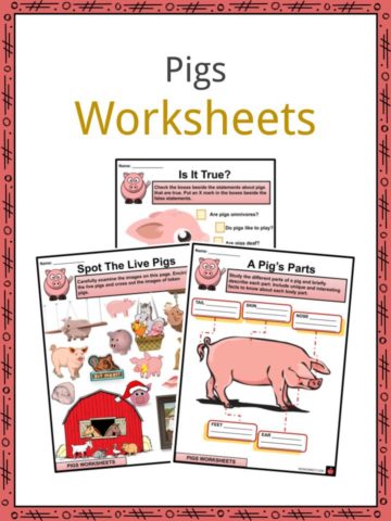 Pigs Worksheets