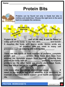 Protein Facts, Worksheets & Properties For Kids