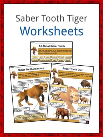 Saber Tooth Tiger Worksheets