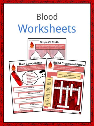 Blood Worksheets