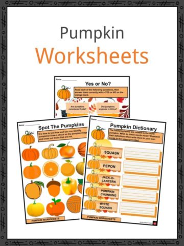 Pumpkin Worksheets