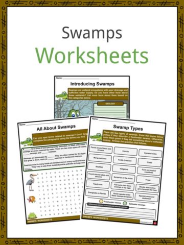 Swamps Worksheets