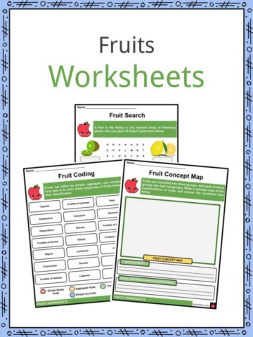 Fruits Worksheets