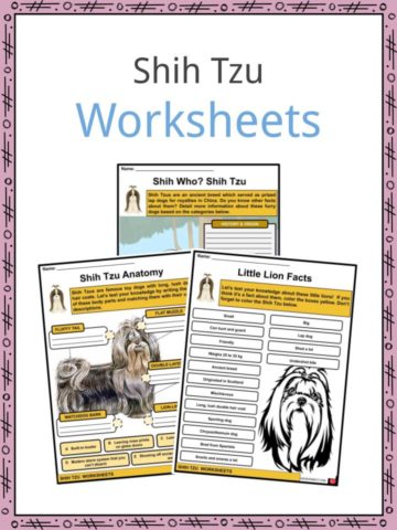 Shih Tzu Worksheets