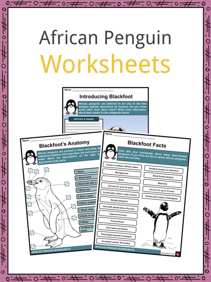 African Penguin Worksheets