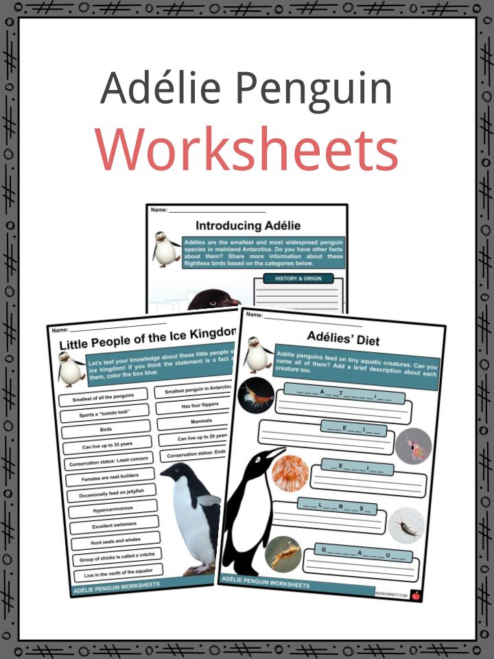 Adelie Penguin Worksheets
