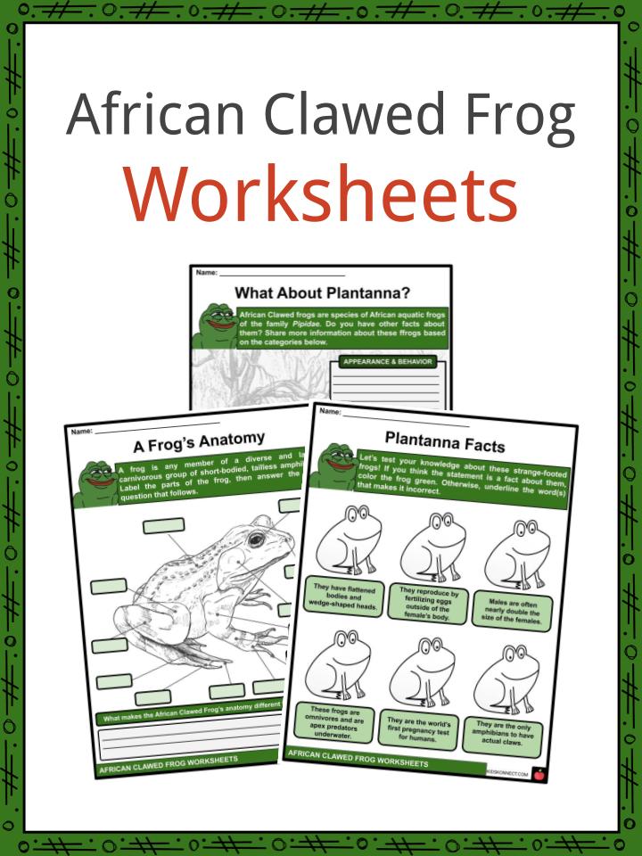 African Clawed Frog Worksheets