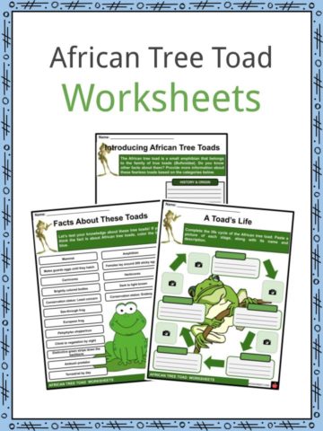 African Tree Toad Worksheets