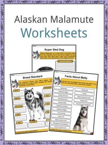 Alaskan Malamute Worksheets