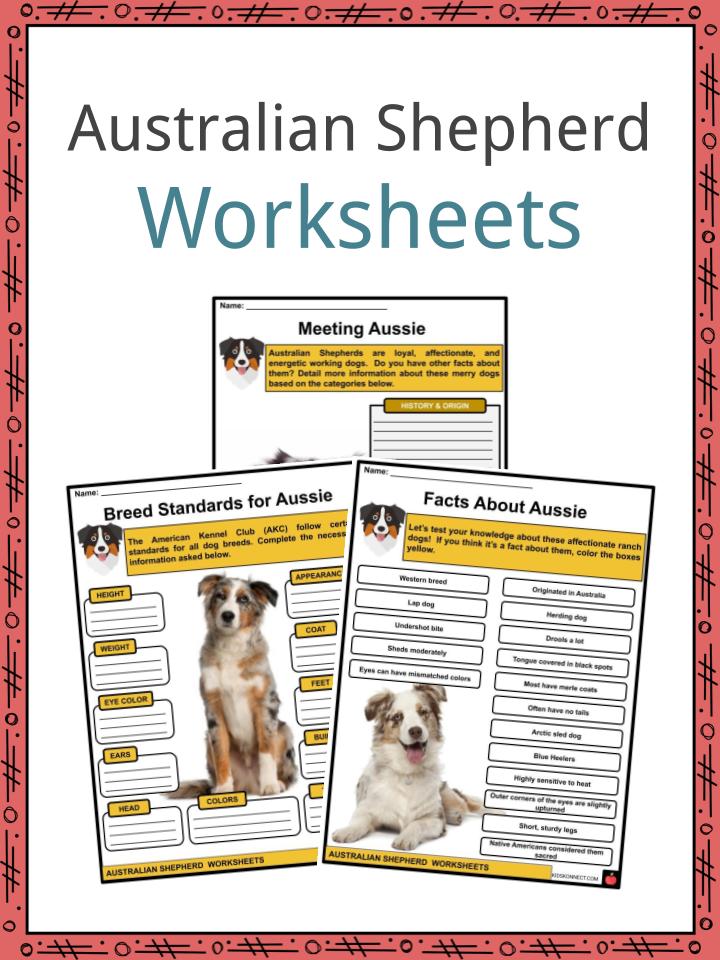 Australian Shepherd Facts, Worksheets For