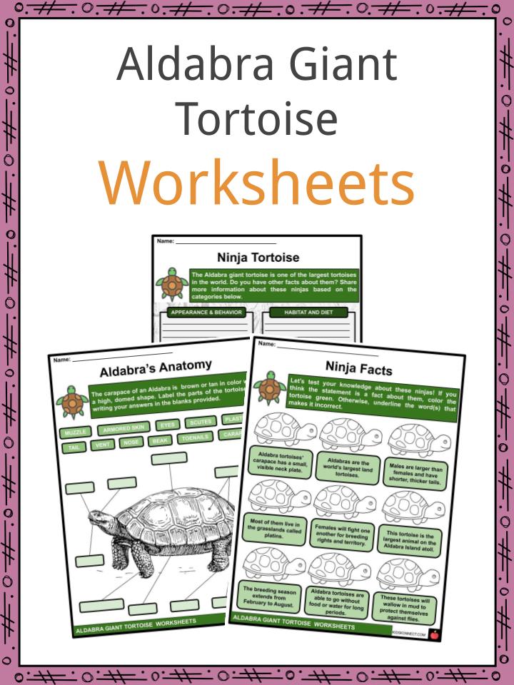 Aldabra Giant Tortoise Worksheets