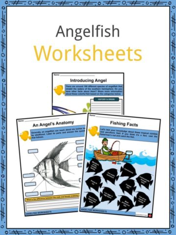 Angelfish Worksheets