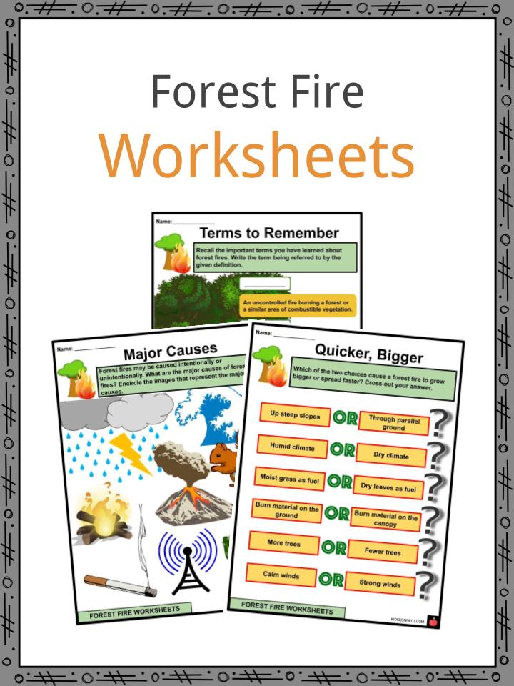 Forest Fire Worksheets