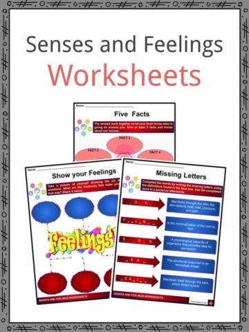 Senses and Feelings Worksheets