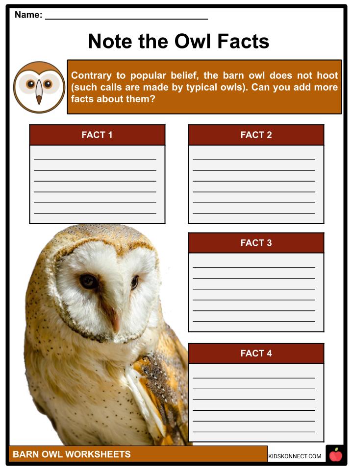 owl worksheet pdf